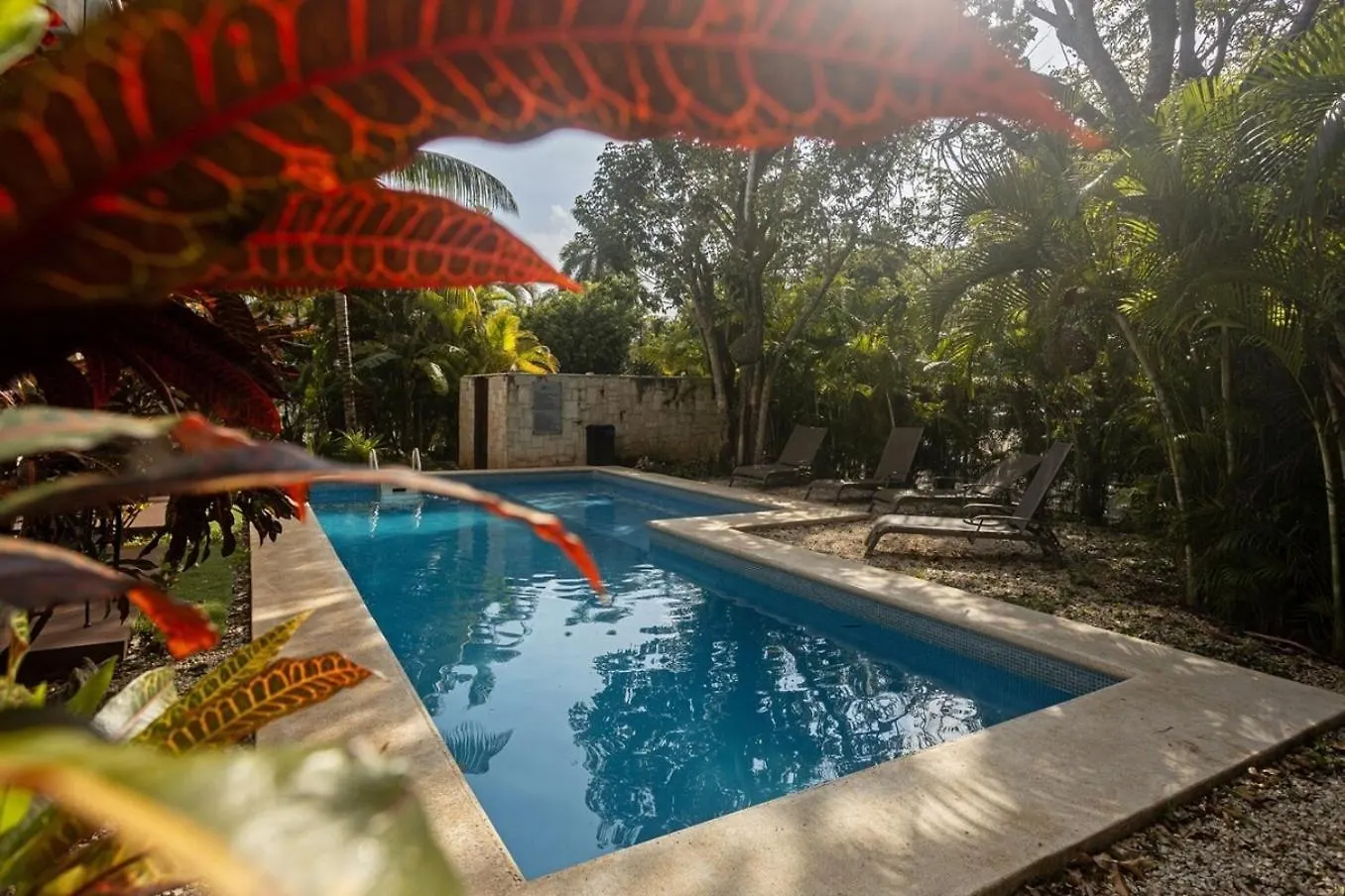 Lejlighed Playacar Master Suites, 2 Pools, Bbq, Beach 5 Min Playa del Carmen Mexico