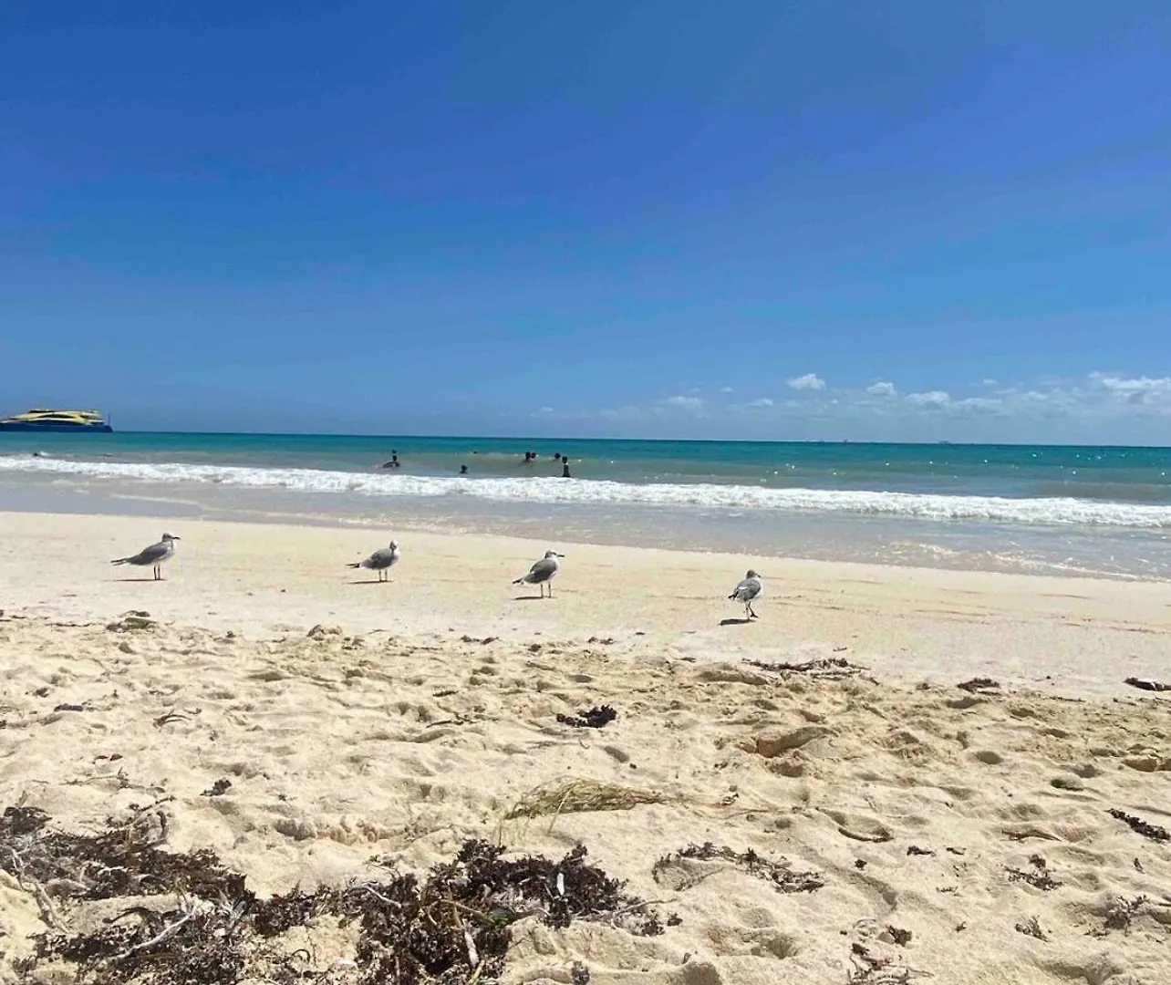 Lejlighed Playacar Master Suites, 2 Pools, Bbq, Beach 5 Min Playa del Carmen